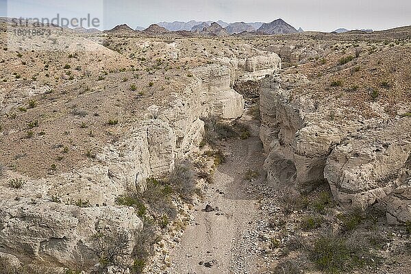 Ansicht von erodiertem Gestein mit Schichten aus verhärteter Vulkanasche  Tuff-Canyon  Big Bend N.P.  Chihuahuan-Wüste  Texas  U.S.A.  Februar