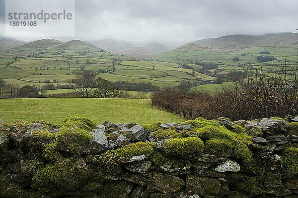 Blick über eine moosbedeckte Trockenmauer in Richtung Fallen mit niedrigen Wolken  Blick auf Howgill Fells  Firbank  Cumbria  England  Januar