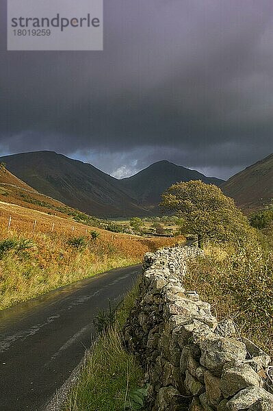 Ansicht einer Trockenmauer am Straßenrand im Hochland-Tal  mit Red Pike Peak im Hintergrund  Wasdale  Lake District N. P. Cumbria  England  Oktober