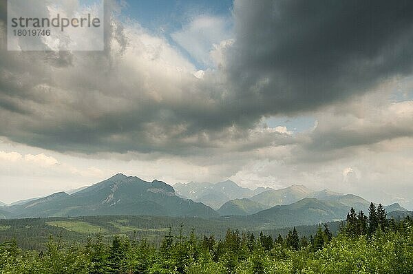 Blick auf die Wolken über dem Lebensraum der montanen Nadelwälder bei Sonnenuntergang  Tatra-Gebirge  Westkarpaten  Polen  Juni  Europa