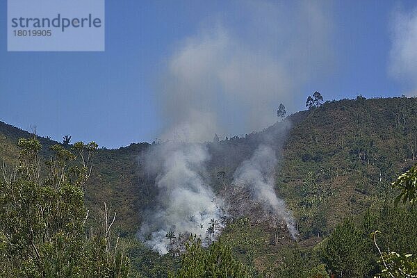 Brennender Wald  Madagaskar  Afrika