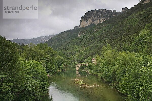 Blick auf die Tarnschlucht mit dem Fluss Tarn und der zerstörten Brücke von la Muse  bei Le Rozier  Lozere  Frankreich  Juni  Europa