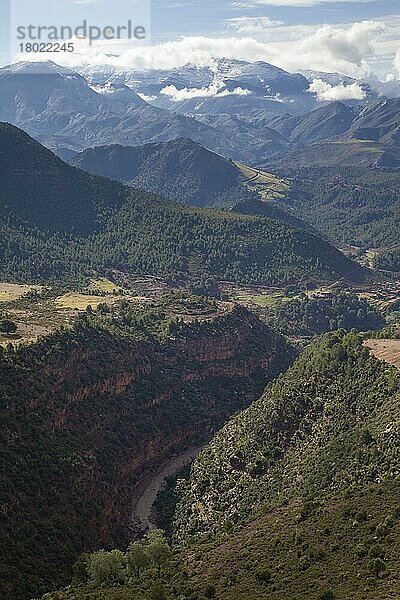 Blick auf Berge und Flussschlucht  Hoher Atlas  Marokko  Mai  Afrika