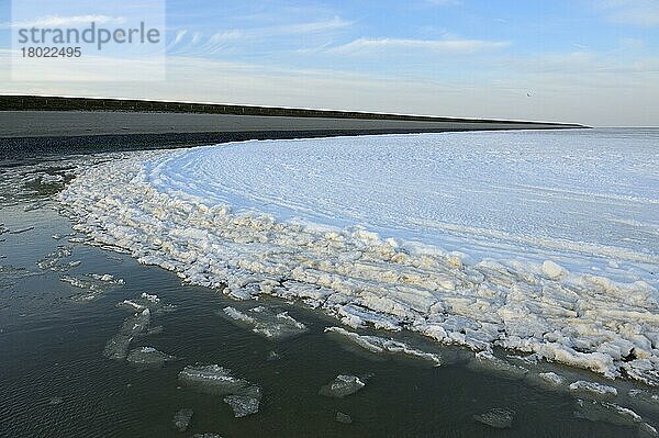 Vereistes Wattenmeer  März 2013  Insel Texel  Nordsee  Nordholland  Niederlande  Europa