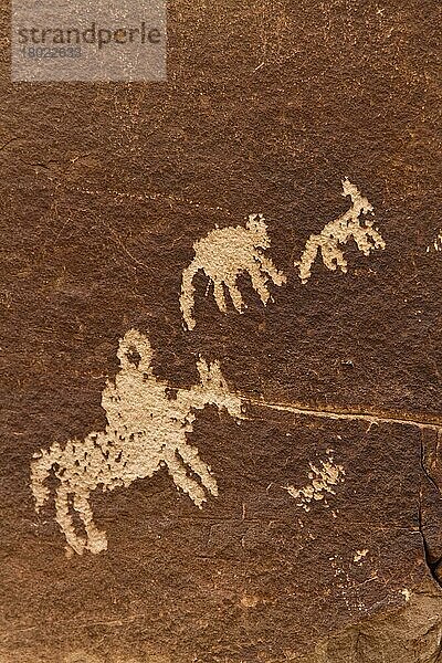 Ute Rock Art  Petroglyphen der Ureinwohner Amerikas in Sandsteinfelsen  zeigt stilisiertes Pferd und Reiter umgeben von Dickhornschafen  geschnitzt zwischen 1650 und 1850 n. Chr