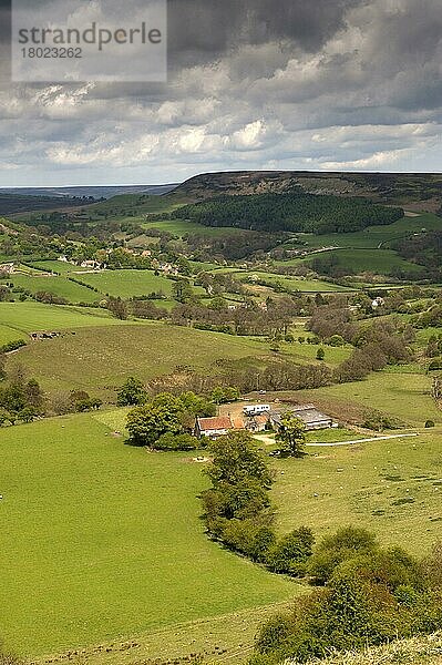 Blick auf die hügelige Landschaft in der Nähe von Hawnby  North York Moors N. P. North Yorkshire  England  Mai