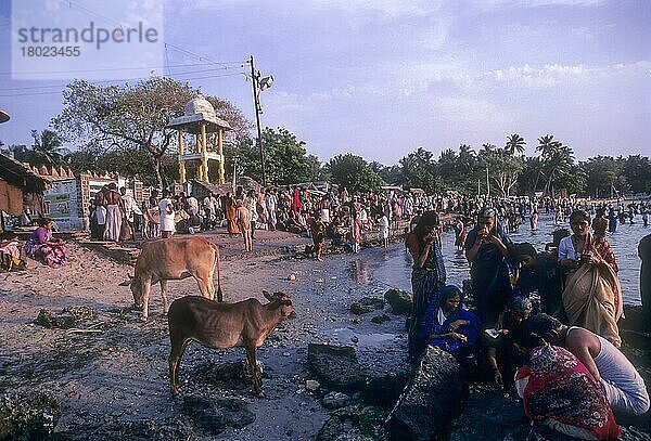 Agnitheertham Badeghat in Rameshwaram  Tamilnadu  Indien  Asien