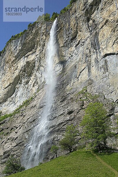 Wasserfall  der über den Bergfelsen fließt  Staubbachfall  Lauterbrunnen  Berner Oberland  Schweiz  Juni  Europa