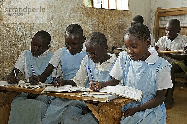 Kinder im Klassenzimmer einer Schule auf dem Land  Kenia  Juni  Afrika
