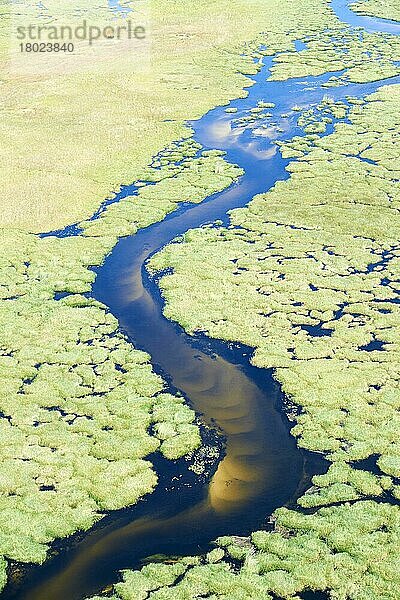 Luftaufnahme des Okavango-Deltas  ein Kanal mit einem Sandbett schlängelt sich durch den Sumpf  Botswana  Afrika