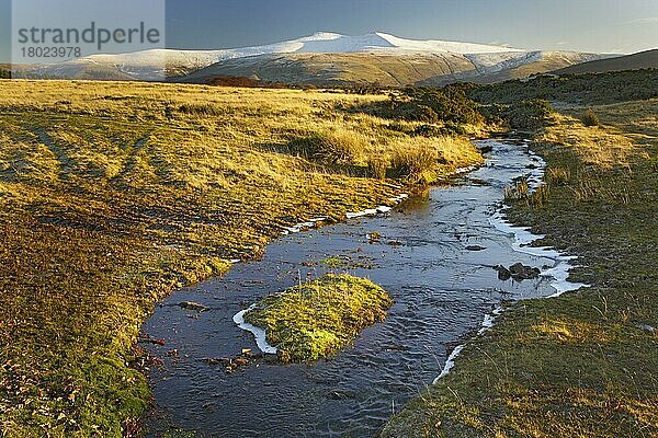 Blick auf den Bach im Hochland-Gemeinschaftsland  Mynydd Illtyd Common  Brecon Beacons N. P. Powys  Wales  Dezember