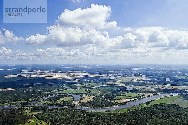 Elbe  zwischen Roßlau und Vockerode  Werder  Alte Elbe  Sachsen-Anhalt  Deutschland  Europa