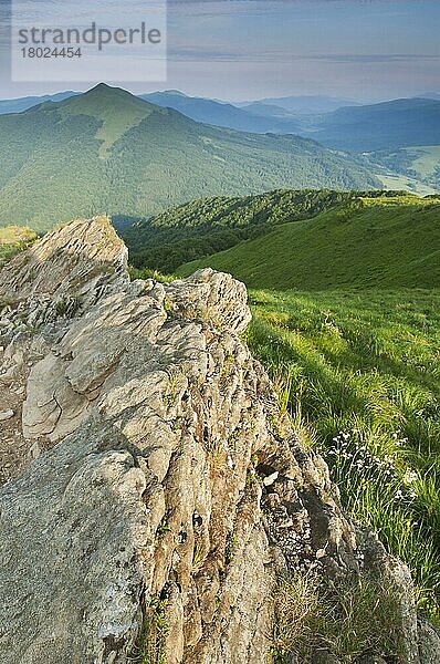 Felsformation und montaner Wiesenlebensraum in der Abendsonne  Bieszczady N. P. Bieszczady-Gebirge  Äußere Ostkarpaten  Polen  Juni  Europa