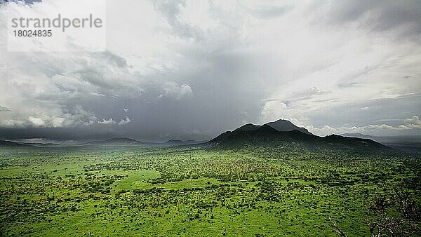 Blick auf den Lebensraum Savanne  Tsavo West N. P. Kenia  Dezember