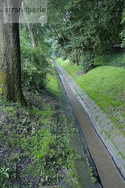 Läppkes Mühlenbach  Abwasserkanal zur Emscher  Köttelbecke  vor Renaturierung im Jahr 2013  Juli  Oberhausen  Ruhrgebiet  Nordrhein-Westfalen  Deutschland  Europa