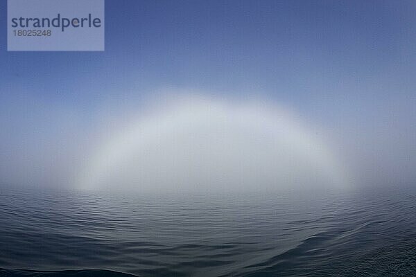 Nebelbogen über ruhiger See  Svalbard