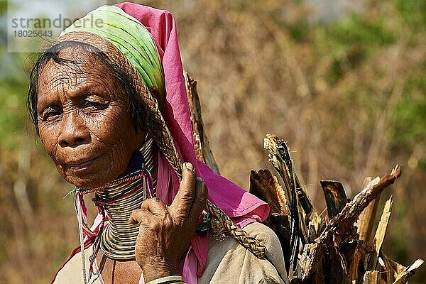 Kayan-Lahwi-Frau mit Messinghalswicklung und traditioneller Kleidung  die Holzkohle trägt  die sie im Wald gesammelt hat  Pan Pet Region  Kayah State  Myanmar  Asien