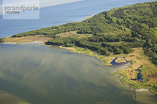 Insel Bock  zwischen Insel Hiddensee und Zingst  Ostsee  Mecklenburg-Vorpommern  Deutschland  Europa