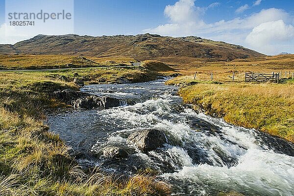 Blick auf den Fluss neben der Straße im Hochland-Lebensraum  Blick auf den Hardknott Pass  Moasdale Beck  Lake District N. P. Cumbria  England  Oktober