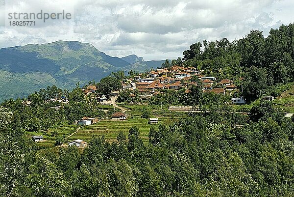 Ansicht eines Bergdorfes und eines terrassenförmigen Berghangs  Kanthalloor  Western Ghats  Kerala  Indien  Asien