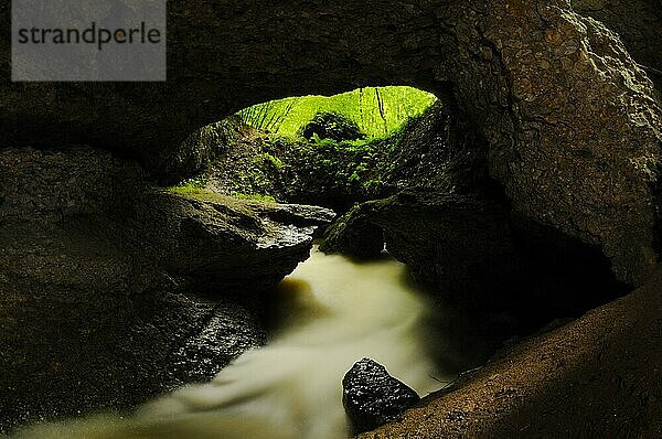 Karsischer Fluss  der durch eine Höhle im Wald fließt  Italien  Juni  Europa