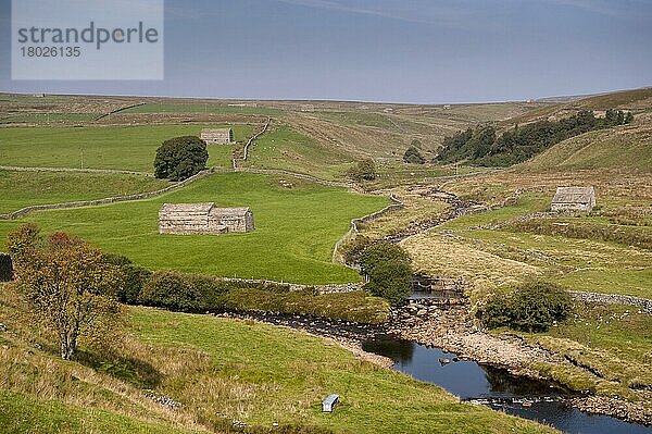 Ansicht des Zusammenflusses mit dem Fluss  Stonesdale Beck  River Swale  bei Keld  Swaledale  Yorkshire Dales  North Yorkshire  England  September