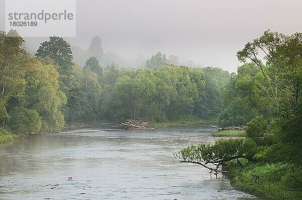 Bieszczady Nationalpark  Europa  View of river and forest sunrise  River San  N. P. Mountains  Outer Eastern Carphians  Poland  June  Polen  Europa