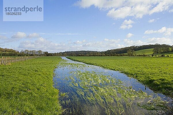 Winterborne' saisonaler Bach  der durch Weideland fließt  in der Nähe von Winterborne Herringston  Dorchester  Dorset  England  Januar