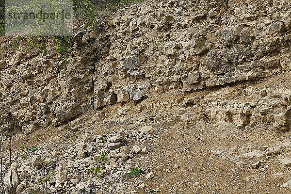 Silurischer Kalkstein im Steinbruch  zeigt Einstreu  Wenlock Edge  Shropshire  England  April