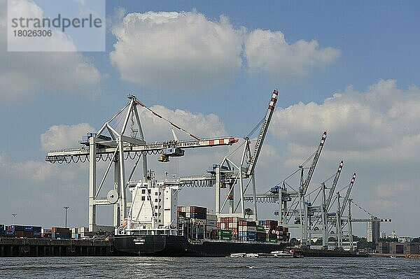 Hamburger Hafen  Kräne vom Containerhafen  mit Containerschiff  Hafenrundfahrt  August  Hamburg  Deutschland  Europa