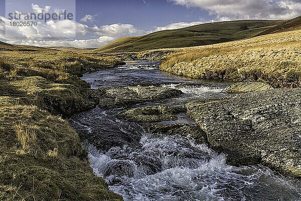 Blick auf den Fluss  der durch den Lebensraum Moor fließt  Fluss Elan  Elan Valley  Rhayader  Powys  Mittelwales  Februar