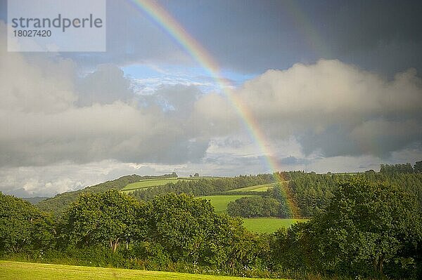 Regenbogen über Hecken  Bäumen und Ackerland  Nordkornwall  England  August