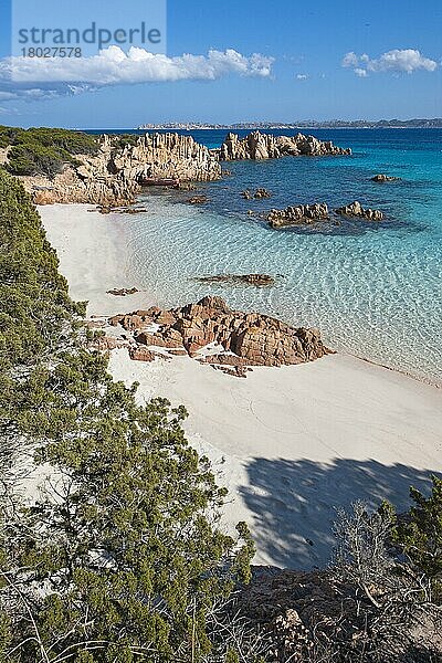 Pinkfarberner Strand  Europa  Isola  Naturschutzgebiet  Insel Budelli  Nationalpark La Maddalena Archipel  Sardinien  Italien  Europa