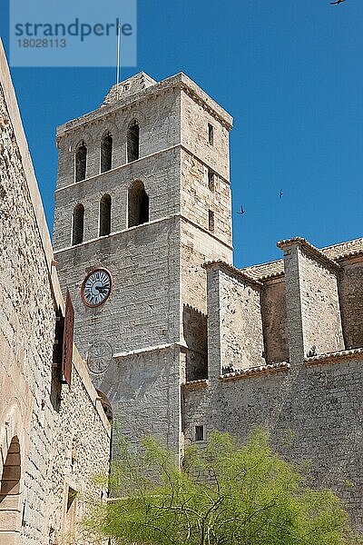 Dalt Vila  Balearen  Europa/  Kathedrale  Eivissa  Ibiza  Spanien  Europa