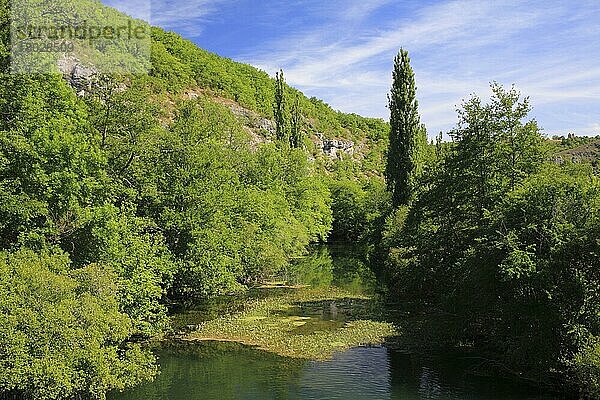 Blick auf ruhigen Flussabschnitt und Schlucht  Fluss l'Ouysse  bei Rocamadour  Lot  Frankreich  Mai  Europa