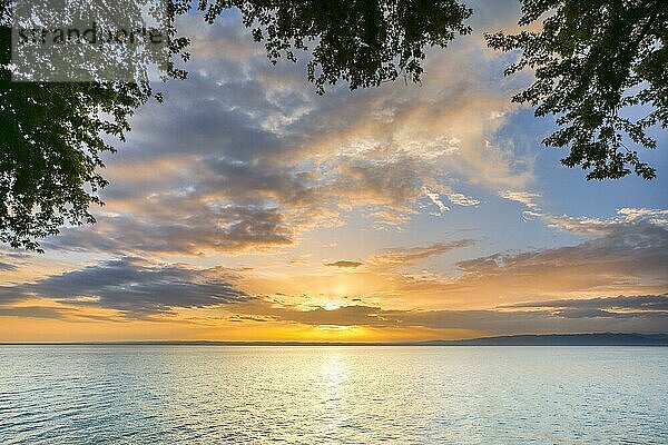 Blick von Arbon über den Bodensee bei farbigem Sonnenaufgang  Kanton Thrugau  Schweiz  Europa