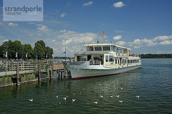 Chiemsee  Anleger für Ausflugsboote der Chiemsee Schifffahrt in Prien am Westufer des Sees  August  Chiemgau  Bayern  Deutschland  Europa