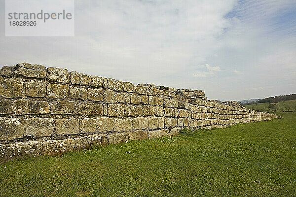 Überreste römischer Befestigungen  Hadrianswall  Northumberland  England  April