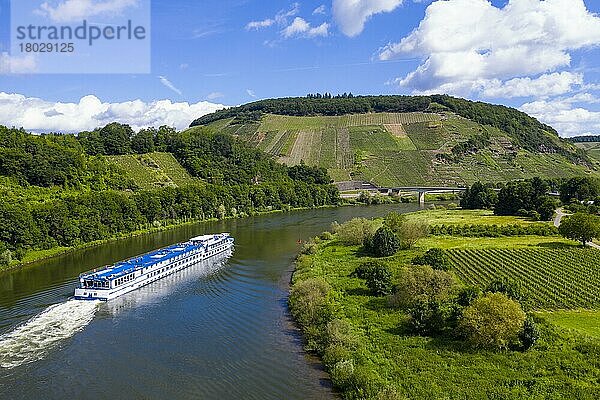 Flusskreuzfahrtschiff auf der Mosel  Moseltal  Deutschland  Europa