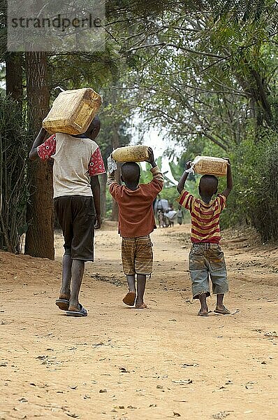 Kinder  die Wasser aus einem Brunnen sammeln und nach Hause tragen  Ruanda  Afrika