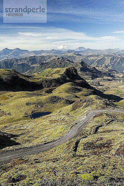 Blick auf die Straße durch einen Bergpass  in der Ferne ein schneebedeckter Vulkan  Papallacta-Pass  Anden  Ecuador  Südamerika