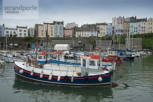 Boote im Hafen der Küstenstadt Tenby  Pembrokeshire  Wales  August