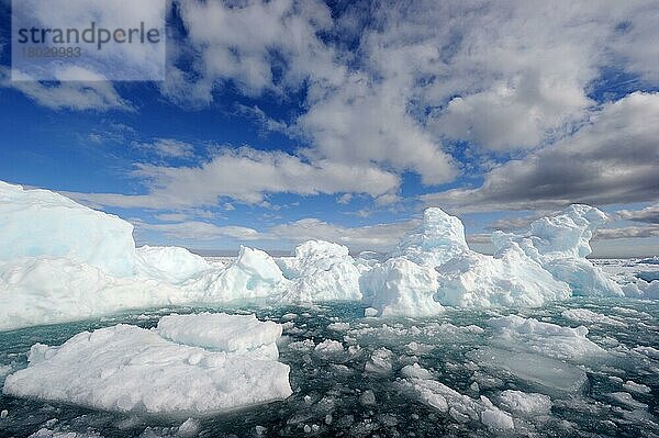 Schmelzendes Eis  Schollenkante  Arctic Bay  Baffin Island  Nunavut  Kanada  Nordamerika