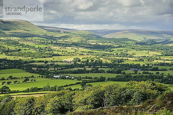 Blick auf Ackerland und Berglebensraum  Loud Valley  Forest of Bowland  Lancashire  England  Juli