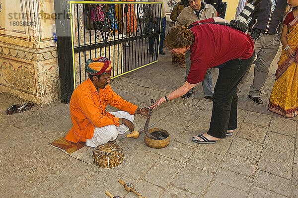 Schlangenbeschwörer mit Kobra  mit Tourist auf der Straße in der Stadt  Jaipur  Rajasthan  Indien  Dezember  Asien