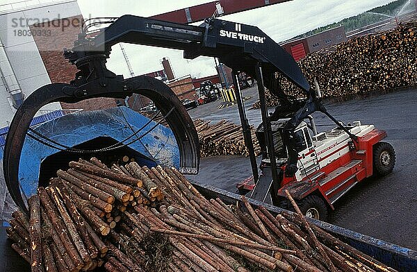 In Zellstoffwerk mit Svetruck TMF-Gabelstaplergreifer verladene Stämme  Schweden  Europa