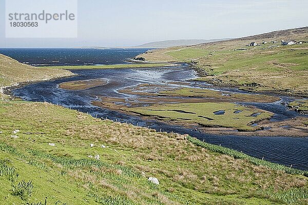 Blick auf den ins Meer mündenden Fluss  Laxo Burn  Laxo Voe  Festland  Shetland-Inseln  Schottland  Juni