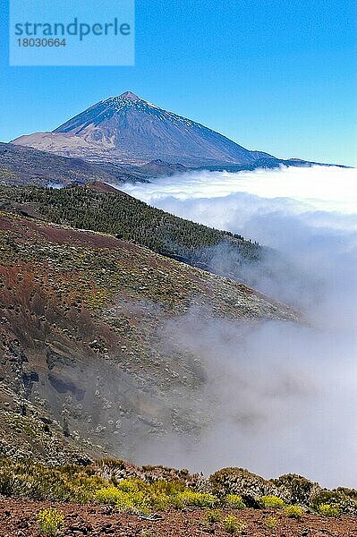 Teide und Meer der Wolken  Mar de Nubes  Teneriffa  Kanarische Inseln  Spanien  Europa