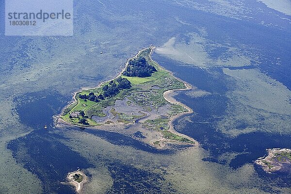 Insel Warder vor Westerbergen  Lemkenhafen  Fehmarn  Schleswig-Holstein  Deutschland  Europa