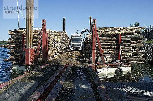 Lastkraftwagen mit Greifer beim Verladen von Baumstämmen auf Holzkahn  Schärenmeer  Ostsee  Schweden  Juni  Europa